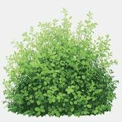 Obraz premium Lush Green Shrubbery Detailed Vector Illustration of Foliage
