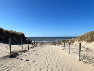 sand dunes and beach