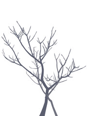 Vector of leafless tree, silhouette of a tree