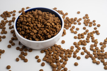 Dog and cat food in a bowl. Copy, space for text