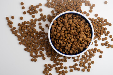 Dog and cat food in a bowl. Copy, space for text