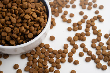 Dog and cat food in a bowl. Copy, space for text