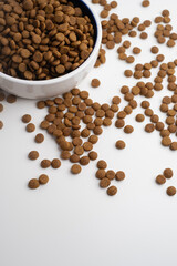 Dog and cat food in a bowl. Copy, space for text