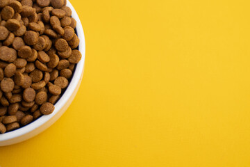 Dog and cat food in a bowl. Copy, space for text