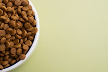 Dog and cat food in a bowl. Copy, space for text