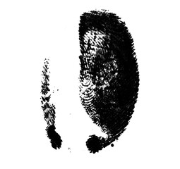 High resolution isolated black fingerprint on white background