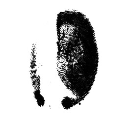 High resolution isolated black fingerprint on white background