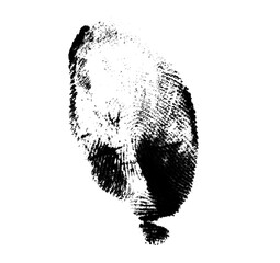 High resolution isolated black fingerprint on white background