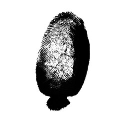 High resolution isolated black fingerprint on white background