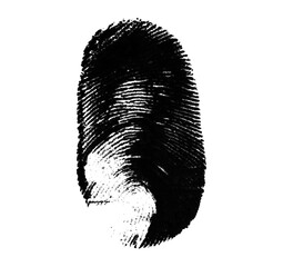 High resolution isolated black fingerprint on white background