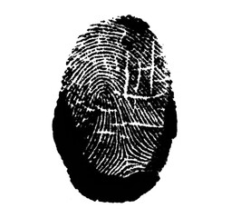 High resolution isolated black fingerprint on white background