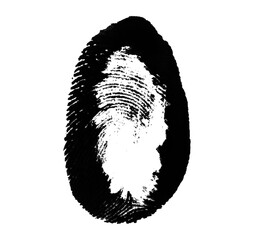 High resolution isolated black fingerprint on white background