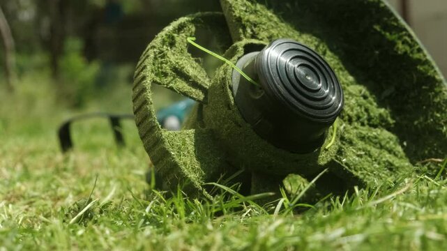 Garden tool paused on green lawn with grass residues, showing accomplishment after mowing.