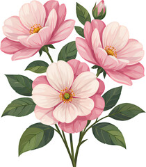 Obraz premium Pink Camellia Flowers, Isolated Transparent Background, Botanical Design Element