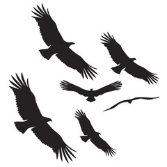 Obraz premium Eagle silhouettes in flight against white background vector illustration template