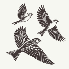 Fototapeta premium Flying sparrow silhouettes three birds graphic vector illustration minimalist design