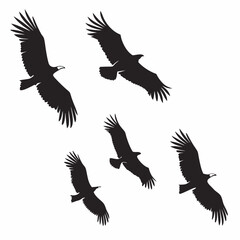 Fototapeta premium Group of vultures silhouettes flying together black bird wildlife animal vector