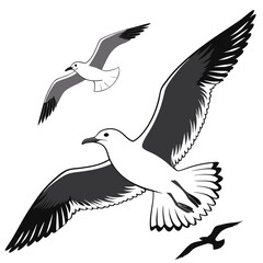 Obraz premium Seagull birds flying illustration vector graphics artistic avian design black and white