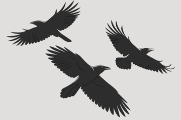 Fototapeta premium Silhouette illustration of three ravens flying together in formation vector graphic