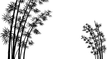 Obraz premium bamboos vector silhouettes white background 