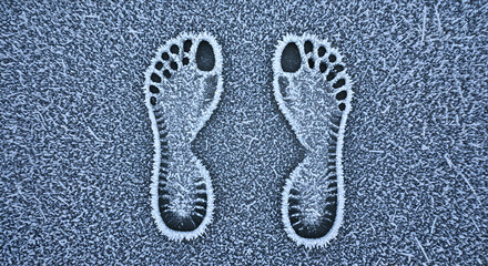 Frozen footprints in frost
