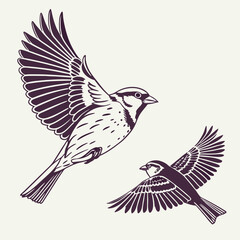 Fototapeta premium Sparrow bird illustrations in flight,vintage style vector graphic design element