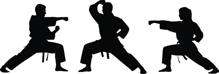 Three karate practitioners in silhouette performing stances and punches on a white background
