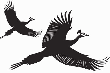 Fototapeta premium Two peacock birds flying silhouette vector illustration isolated on white background