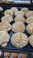 Concha bread mexican pastrie, sweet