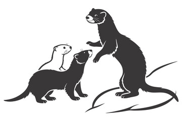 Obraz premium Ferret family illustration in simple vector style with white background
