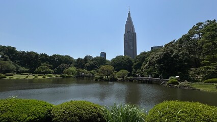Lake in the park with a tiny view of Tokio