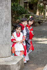 Obraz premium 七五三着物のかわいい女の子と男の子