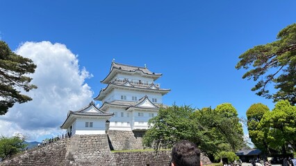 Odawara castle in the top of the town
