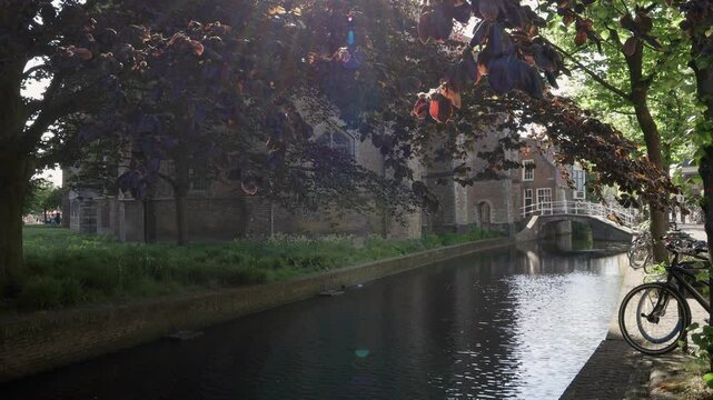 City canal with overhanging tree at Nieuwe Church waterfront in Delft, The Netherlands.