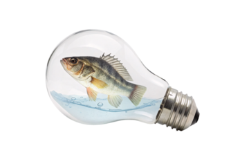 A realistic fish swimming inside a clear glass lightbulb with water and air bubbles, isolated on a transparent background