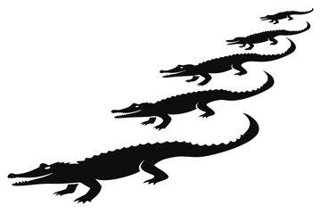 Fototapeta premium Alligator family walking silhouettes black and white vector illustration reptile wildlife