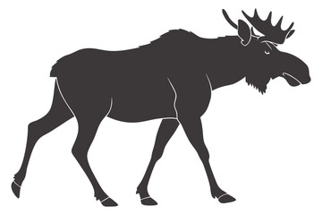 Obraz premium Dark silhouette of a moose walking elegantly against a plain background