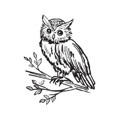 A single owl perched on a tree branch with leaves in black brush stroke texture isolated on white. Hand drawn vector sketch illustration in vintage charcoal ink. Forest animal, wisdom symbol