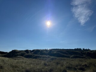 sun and blue sky over the fields