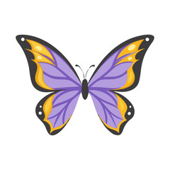 Purple and gold butterfly, isolated, transparent background