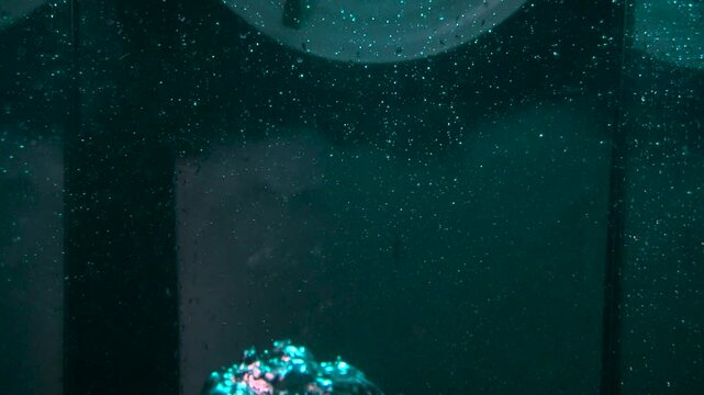 The texture of the water is a rumbling chaos with bubbles created by the air escaping outside in the blue light.