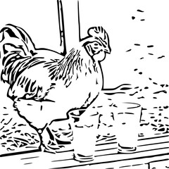 Rooster with Drinks – Black and White Vector Illustration
