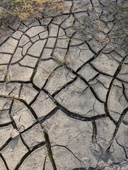 dry soil texture