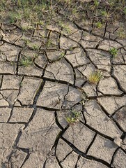 dry soil texture