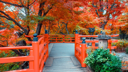 Kitano Tenmangu Shrine with beautiful vivid autumn colorful foliage in Kyoto, Japan