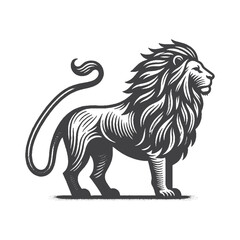 Fototapeta premium Vintage Hand-Drawn African Lion Full Body Side View Illustration – Wildlife Animal Engraved Style Vector for T-Shirts, Posters, Stickers, and Safari Wildlife Themes Apparel