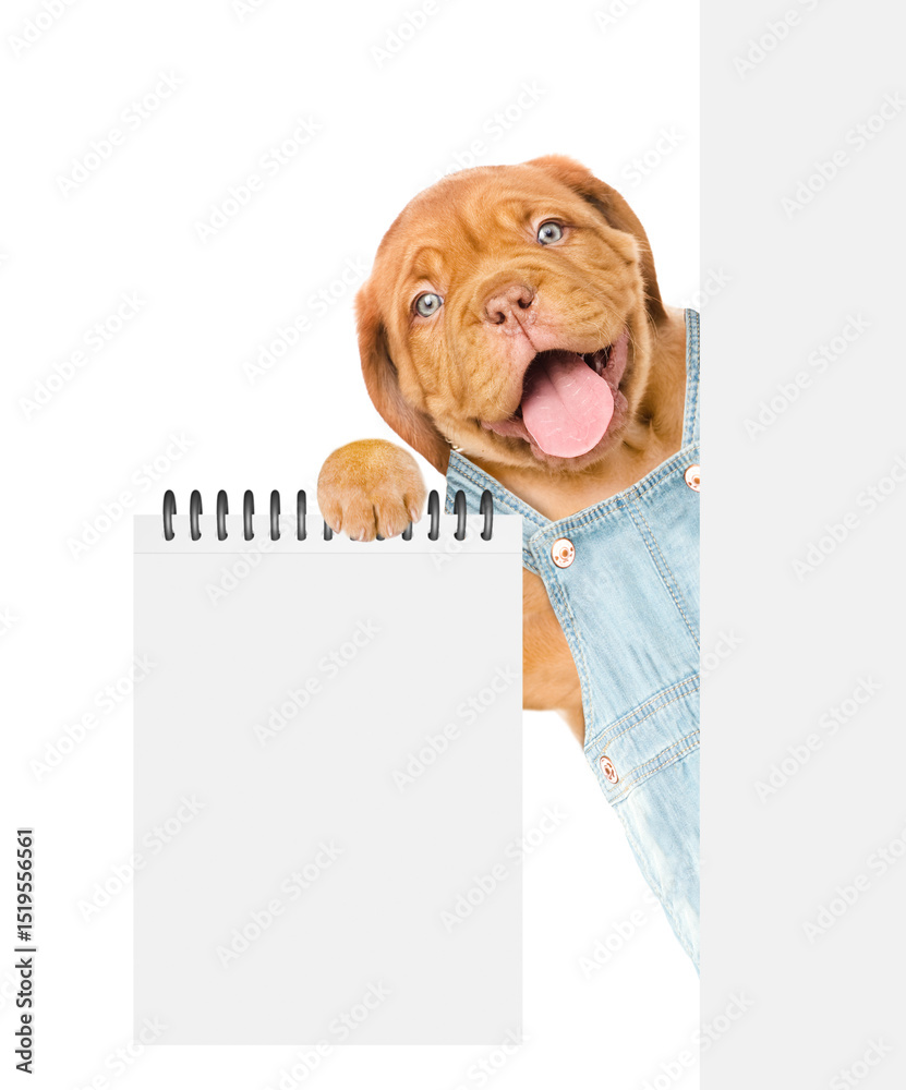 Poster happy mastiff puppy wearing denim overalls shows empty list from behind blank white banner. isolated