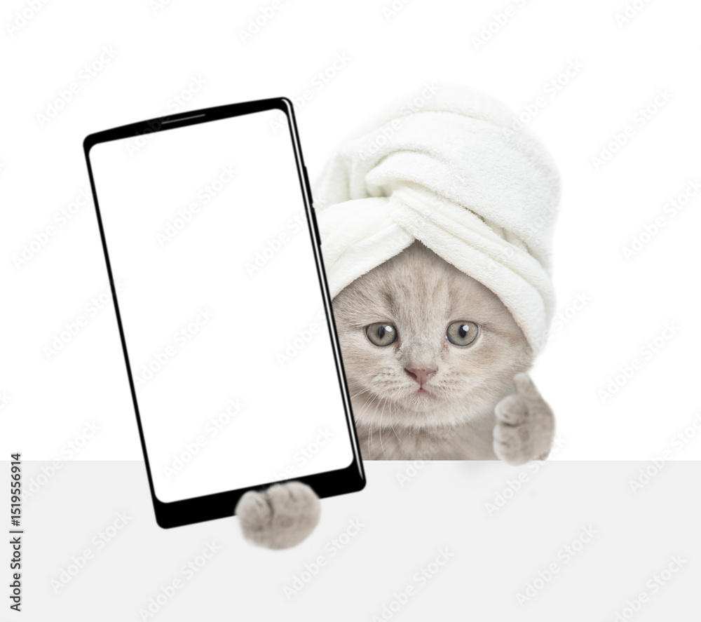 Poster funny tiny kitten with towel on it head holds big smartphone with white blank screen in it paw above