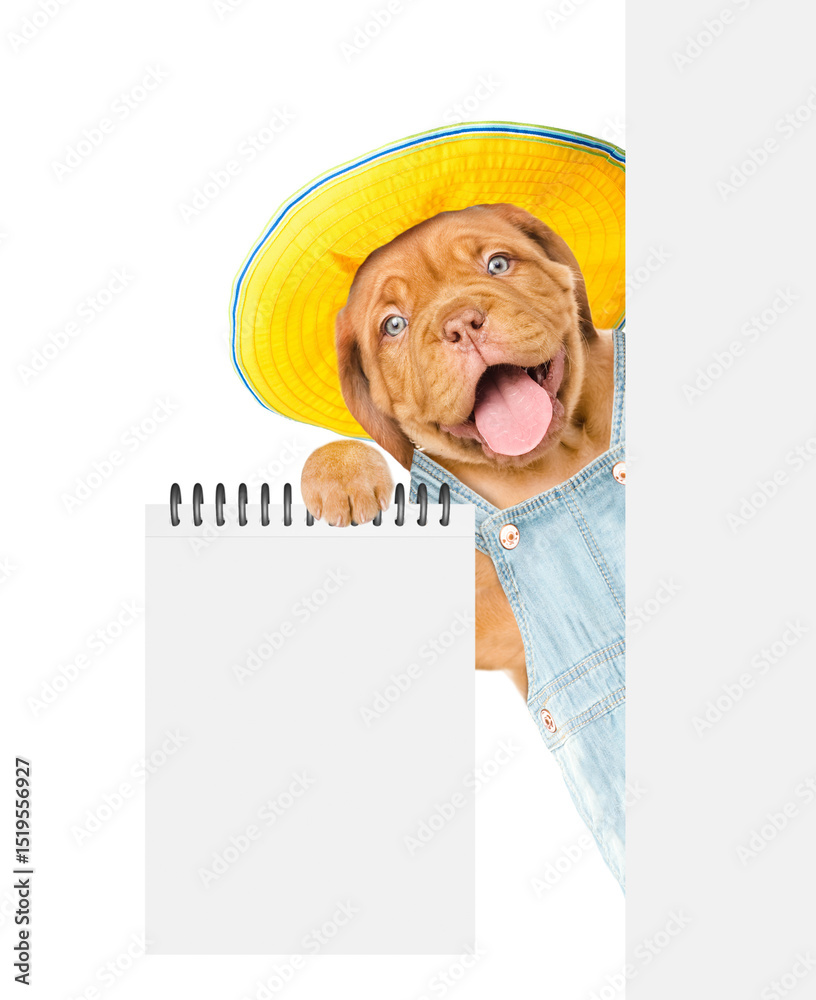 Poster Happy Mastiff puppy wearing summer hat and denim overalls shows empty list from behind blank white banner. Isolated on white background