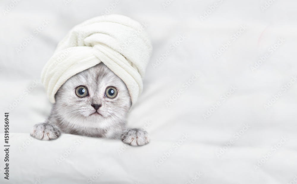 Aufkleber Cute tiny kitten with towel on it head relaxing on a bed at home. Top down view. Empty space for text